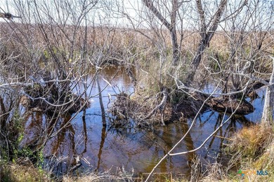 Welcome to Hidden Oaks Ranch a rare 51.81-acre coastal tract on - photo 19