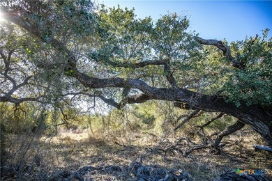 Welcome to Hidden Oaks Ranch a rare 51.81-acre coastal tract on - photo 20
