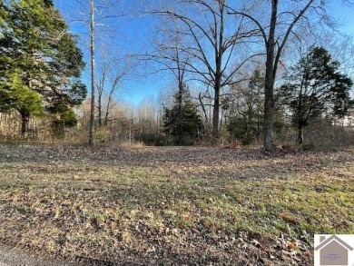 Lake Acreage For Sale in Cadiz, Kentucky