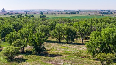 67 acres of South Platte River frontage in the heart of GMU 951 - photo 22