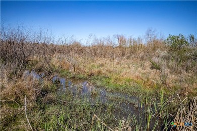 Welcome to Hidden Oaks Ranch a rare 51.81-acre coastal tract on - photo 24