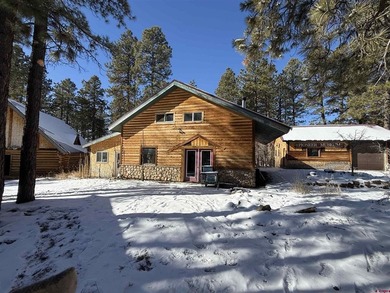 (private lake, pond, creek) Home Active Under Contract in Mancos Colorado