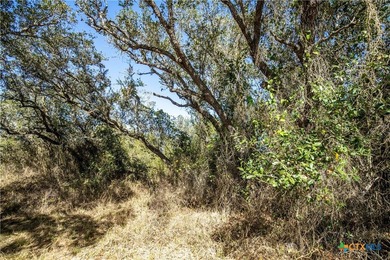 Welcome to Hidden Oaks Ranch a rare 51.81-acre coastal tract on - photo 34