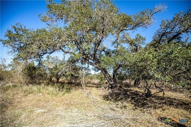 Welcome to Hidden Oaks Ranch a rare 51.81-acre coastal tract on - photo 38