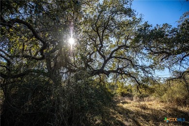 Welcome to Hidden Oaks Ranch a rare 51.81-acre coastal tract on - photo 39