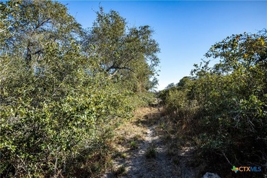 Welcome to Hidden Oaks Ranch a rare 51.81-acre coastal tract on - photo 41