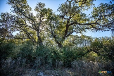 Welcome to Hidden Oaks Ranch a rare 51.81-acre coastal tract on - photo 43