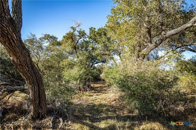 Welcome to Hidden Oaks Ranch a rare 51.81-acre coastal tract on - photo 45