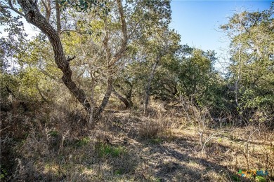 Welcome to Hidden Oaks Ranch a rare 51.81-acre coastal tract on - photo 46