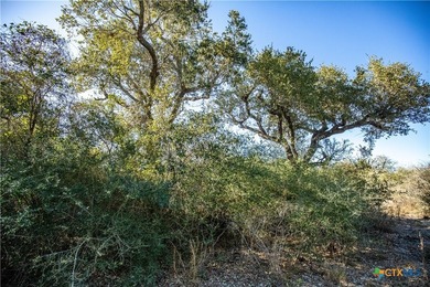 Welcome to Hidden Oaks Ranch a rare 51.81-acre coastal tract on - photo 47