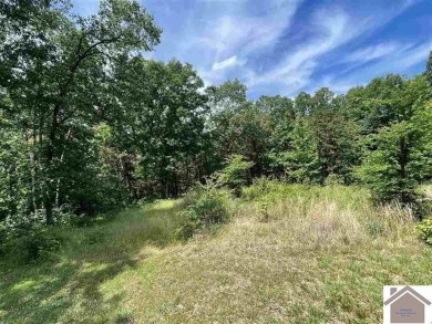 Lake Lot For Sale in Murray, Kentucky