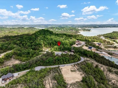 Build Your Douglas Lake Getaway Without the Lakefront Price - photo 11