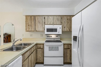 Enjoy affordable, low-maintenance Florida living in this - photo 9