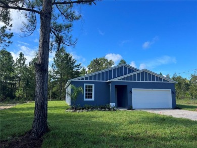 Silver Lake - Marion County Home For Sale in Weirsdale Florida