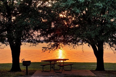 White Bluff is the place to be. This is a great lot!! Come enjoy - photo 12