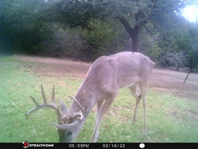 White Bluff is the place to be. This is a great lot!! Come enjoy - photo 37