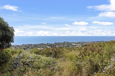 Located in the desirable Kona Vistas community, this - photo 8