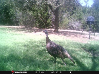 White Bluff is the place to be. This is a great lot!! Come enjoy - photo 38