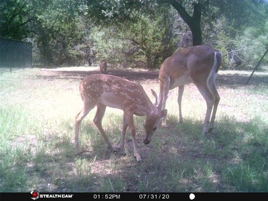 White Bluff is the place to be. This is a great lot!! Come enjoy - photo 39