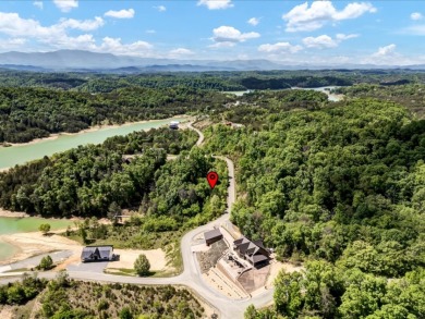 Build Your Douglas Lake Getaway Without the Lakefront Price - photo 20