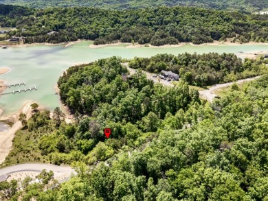 Build Your Douglas Lake Getaway Without the Lakefront Price - photo 18