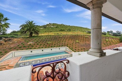 3244 Olivenhain Farms Rd. - photo 37