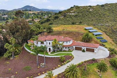 3244 Olivenhain Farms Rd. - photo 45
