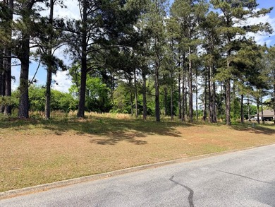 Have you ever wanted a lake view without the waterfront lot - photo 3