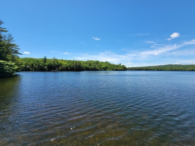 Lake Acreage For Sale in Plymouth, Maine