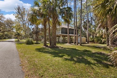 Discover the charm of Old Florida living in this 1994 stilt home - photo 28