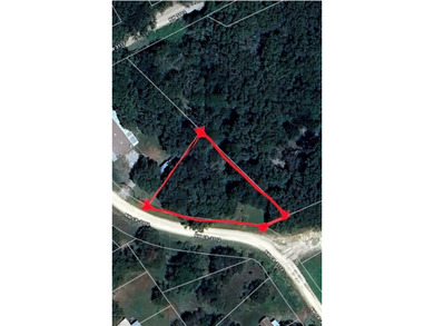 Lake Navarro Mills Lot For Sale in Purdon Texas