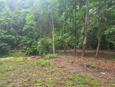 Beautiful flat lot with creek running through the back of - photo 3