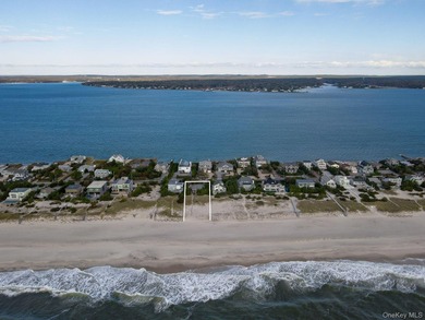 Experience the essence of Hamptons Oceanfront living in this - photo 4