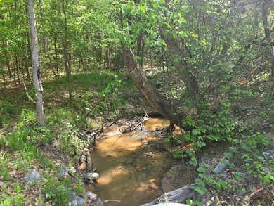 Beautiful flat lot with creek running through the back of - photo 5