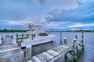 Front-row waterfront living with no other homes between you and - photo 49