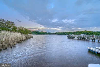 Front-row waterfront living with no other homes between you and - photo 50
