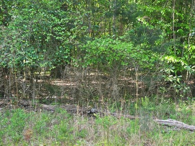 FLAT WOODED LOT ON QUIET STREET PERFECT FOR YOUR NEW HOME. STICK - photo 1