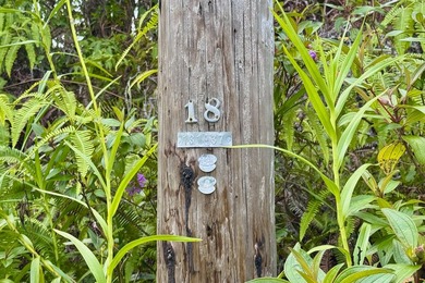 Nicely wooded lot near the intersection of Mauna Kea Rd. and - photo 8