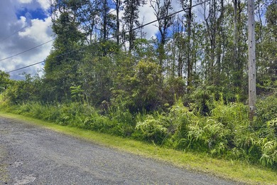 Nicely wooded lot near the intersection of Mauna Kea Rd. and - photo 10