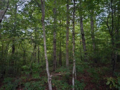 (private lake, pond, creek) Acreage For Sale in Wilder Tennessee