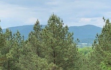 Lake Nottely Lot For Sale in Blairsville Georgia