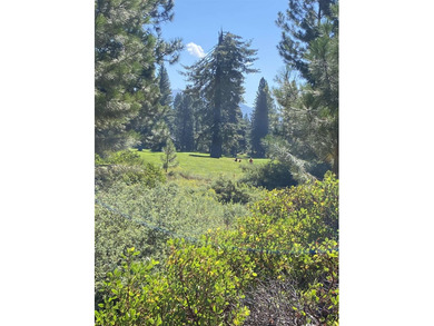 Fabulous views of Bailey Creeks 1st, 18th, and 10th Fairways. If - photo 2