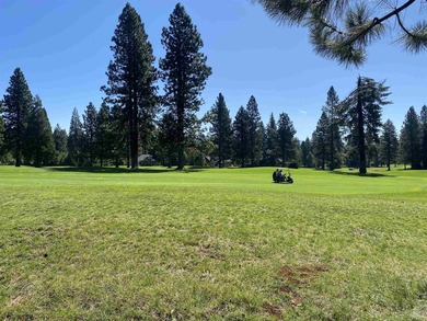 Fabulous views of Bailey Creeks 1st, 18th, and 10th Fairways. If - photo 4