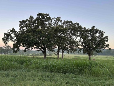 (private lake, pond, creek) Acreage For Sale in Mena Arkansas