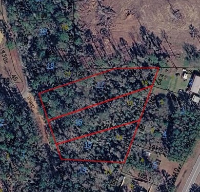 2 +/- acres of unrestricted land, within minutes of boat ramp - photo 1