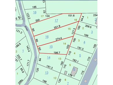 2 +/- acres of unrestricted land, within minutes of boat ramp - photo 2