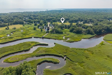 Set on a peaceful cul-de-sac in Madison's highly desirable - photo 37