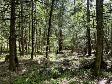 Upstate New York Camp or Camper Site - photo 13