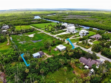 $5000 credit towards Buyer's closing costs. OVERSIZED YARD - - photo 48