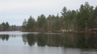 (private lake, pond, creek) Acreage For Sale in Shingleton Michigan